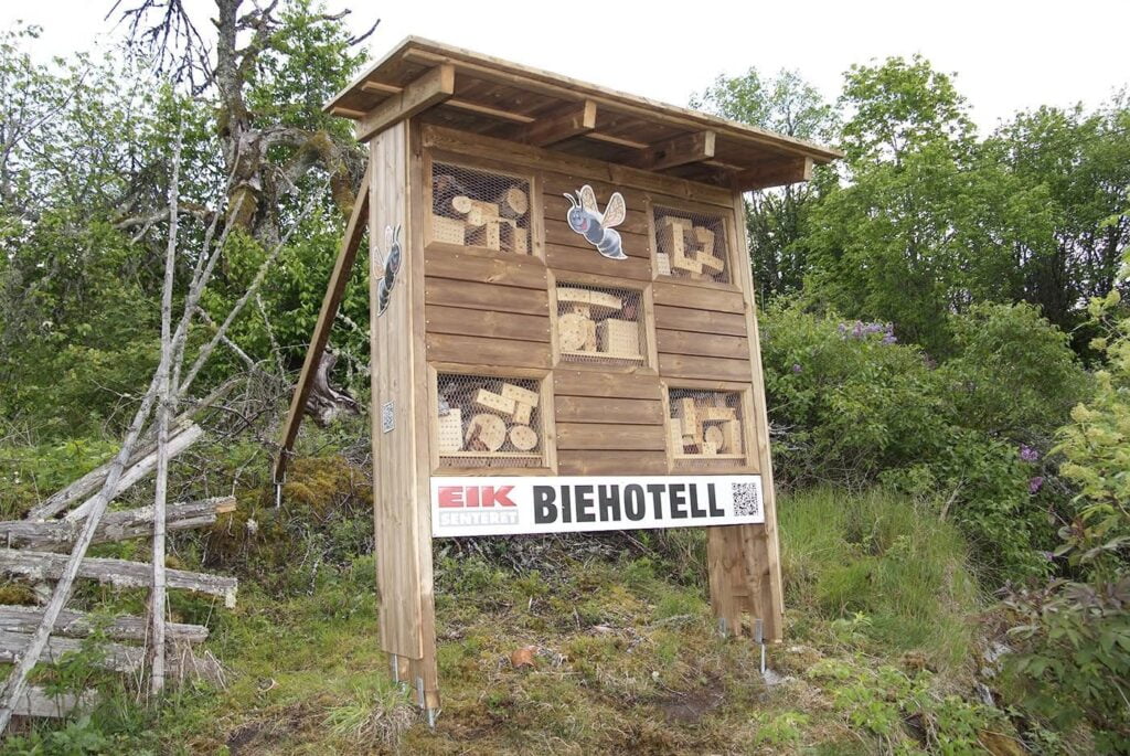 Bilde av biehotell i skogen